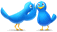 Sigue Nuestros Rss Twitter